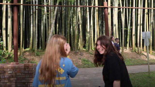 Девочки из Story в бамбуковом лесу